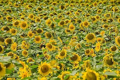 《地球防卫军6》新截图曝光 大战强悍怪物